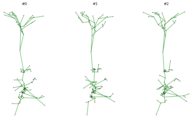 ../_images/morphology_with_jitter.png